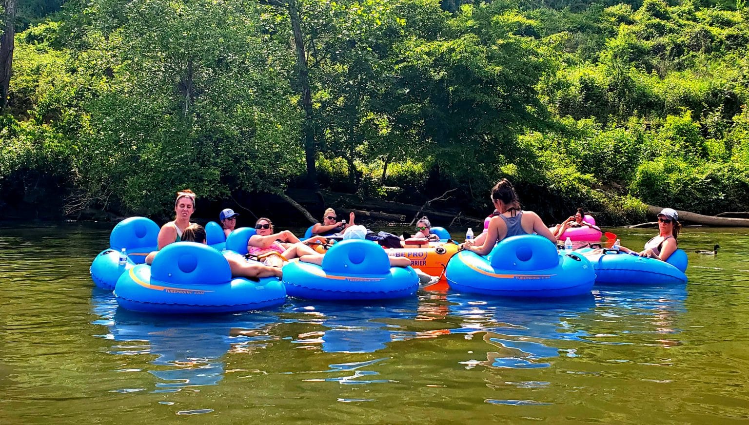 Asheville Tubing Tube Rentals Float The French Broad