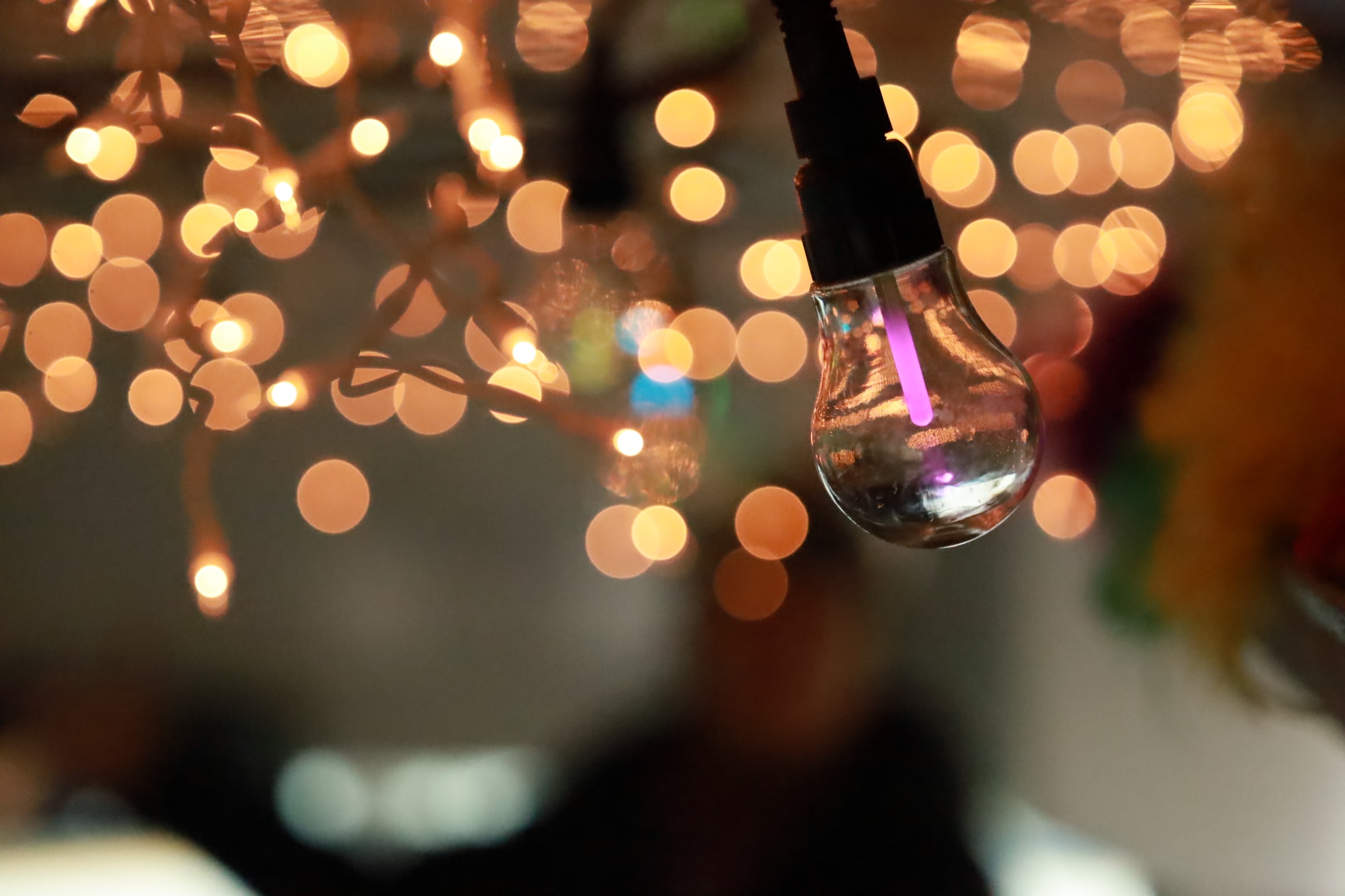 Asheville Party Bus Rental Asheville, NC