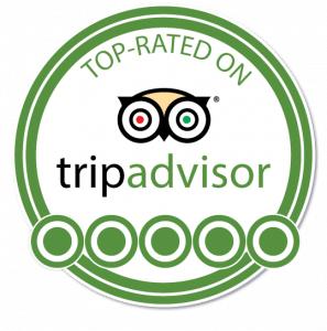 TripAdvisor-Logo-Plain