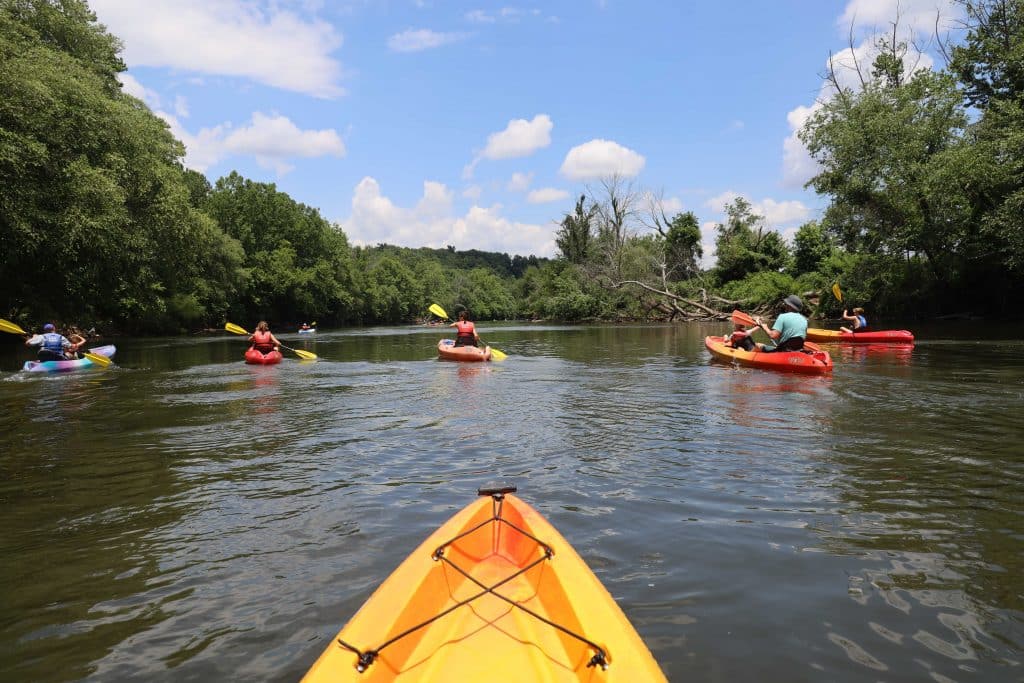 Kayaking through the Biltmore Estate central to Asheville North Caroline with a group. Kayakers enjoying one of the most scenic parts of the river that flows through AVL.