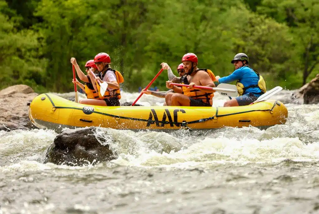 {"height":"3564","orientation":"1","created_at":"2023-05-06 13:17:00.890 -0400","width":"5323","filename":"img_7597-94fb52d1.jpg","uploaded_at":"2023-05-09 21:58:27.335 -0400","megapixels":"18.971172","device_model":"iPhone","network":"wifi","user_email":"gagertucker903@gmail.com","app_version":"3.1 (5)","label_names":"","location_id":"1209","upload_type":"Photo","aspect_ratio":"1.49354657687991","labels":"","camera_id":"4636","timezone":"America\/New_York","os_version":"iOS 16.3.1"}