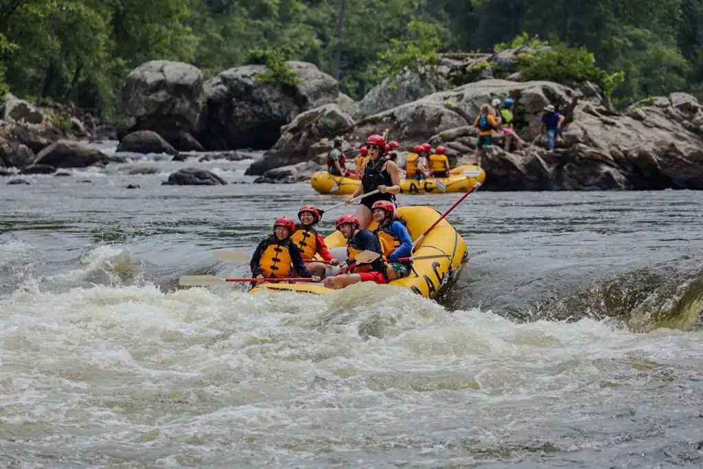 {"height":"1080","network":"cell","device_model":"iPhone","labels":"","created_at":"2023-06-18 12:51:22.710 -0400","timezone":"America\/New_York","label_names":"","app_version":"3.11 (1)","aspect_ratio":"1.5","uploaded_at":"2023-06-18 13:52:54.858 -0400","location_id":"1209","user_email":"garrettfnn@yahoo.com","megapixels":"1.7496","os_version":"iOS 16.5","width":"1620","orientation":"1","filename":"2p1a9891-c3c7793b.jpg","camera_id":"4849","upload_type":"Photo"}