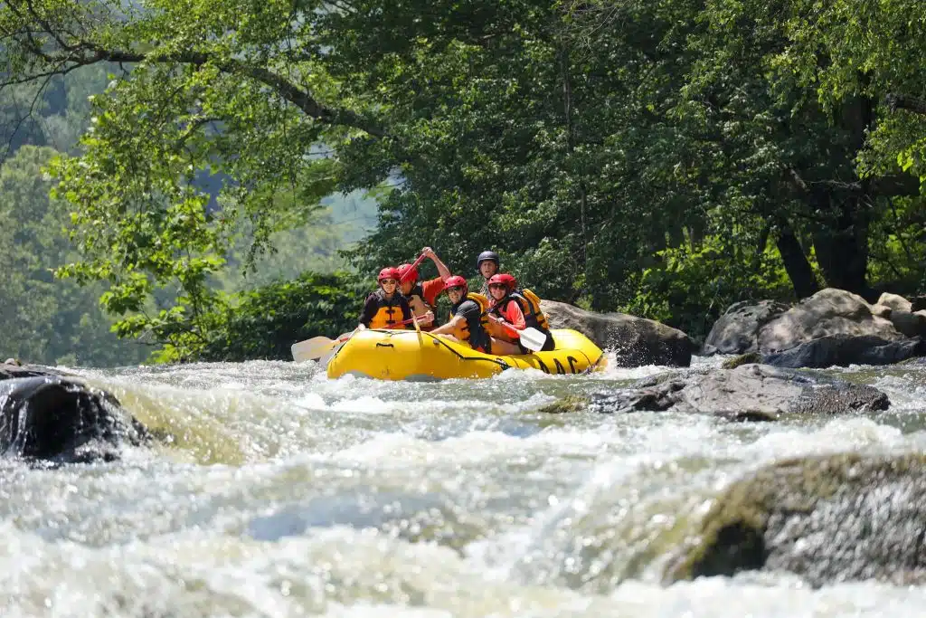 {"filename":"2p1a9306-7e38dd31.jpg","megapixels":"13.284864","aspect_ratio":"1.5","created_at":"2023-06-09 13:16:49.380 -0400","orientation":"1","app_version":"3.11 (1)","os_version":"iOS 16.3.1","upload_type":"Photo","user_email":"gagertucker903@gmail.com","timezone":"America\/New_York","location_id":"1209","label_names":"2023\/06\/09-09:00 to 13:00-French Broad Gorge Whitewater Rafting Trip-Luiz Correia,2023\/06\/09-09:00 to 13:00-French Broad Gorge Whitewater Rafting Trip-Dave Secord,2023\/06\/09-09:00 to 13:00-French Broad Gorge Whitewater Rafting Trip-David Koch,2023\/06\/09-09:00 to 13:00-French Broad Gorge Whitewater Rafting Trip-Eric Lachs,2023\/06\/09-09:00 to 13:00-French Broad Gorge Whitewater Rafting Trip-Kelly Lindberg,2023\/06\/09-09:00 to 13:00-French Broad Gorge Whitewater Rafting Trip-Stephanie Ericson","labels":"2374560,2438259,2435576,2468522,2473563,2477360","device_model":"iPhone","width":"4464","camera_id":"4636","uploaded_at":"2023-06-09 19:17:17.241 -0400","network":"cell","height":"2976"}