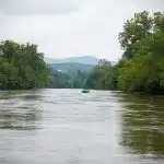 DSC00747