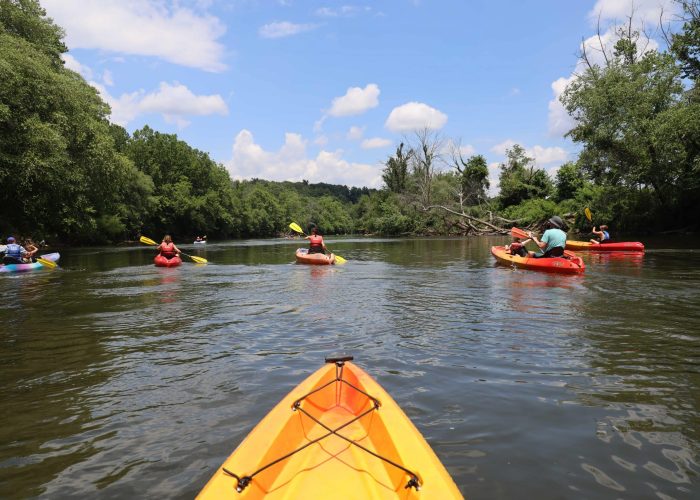 Kayaking through the Biltmore Estate central to Asheville North Caroline with a group. Kayakers enjoying one of the most scenic parts of the river that flows through AVL.